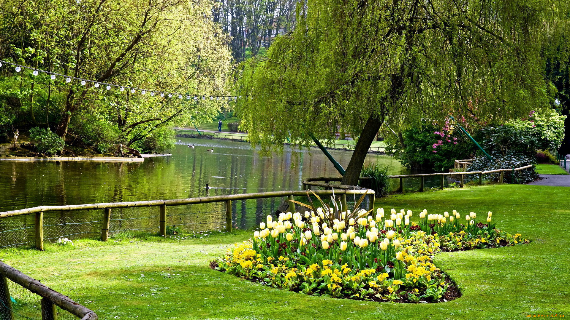 природа, парк, тюльпаны, клумба, ограждение, река
