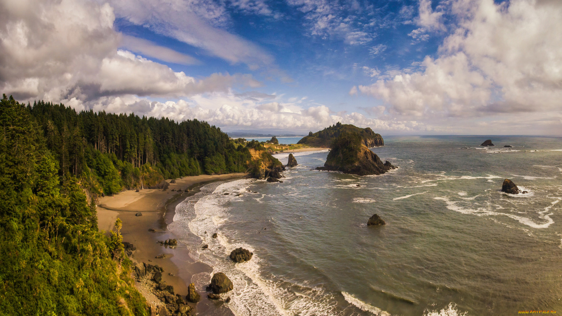 природа, побережье, лес, море