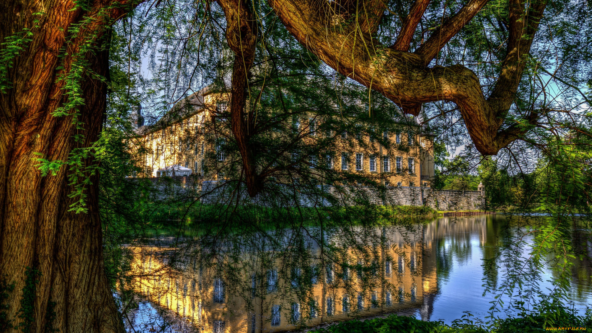 природа, реки, озера, лес, река