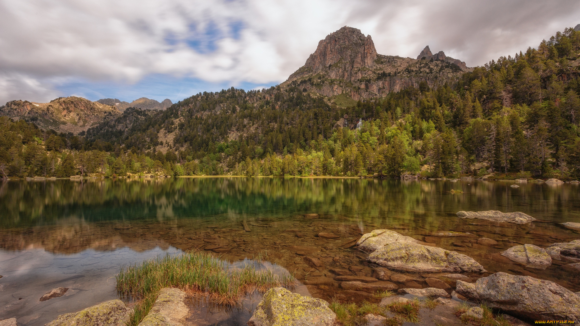 природа, реки, озера, река, лес