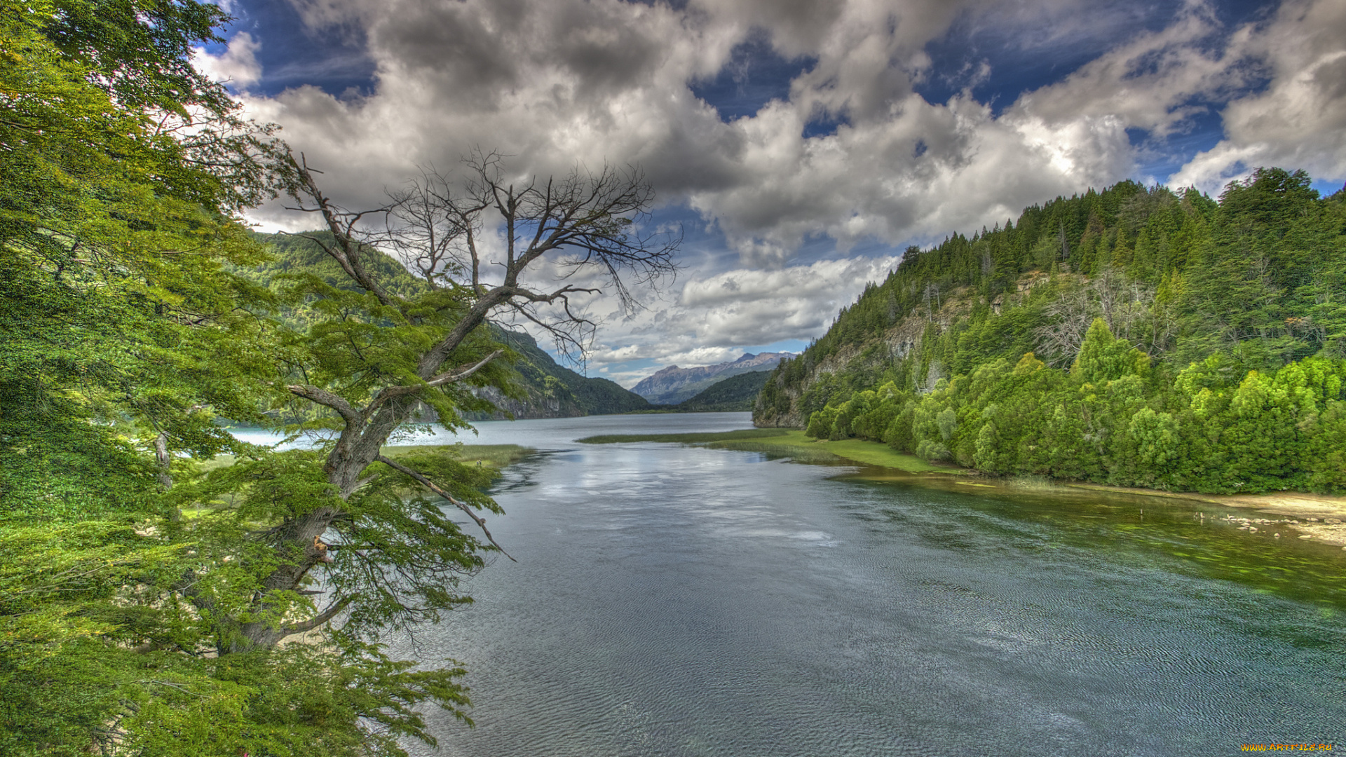 природа, реки, озера, река, лес