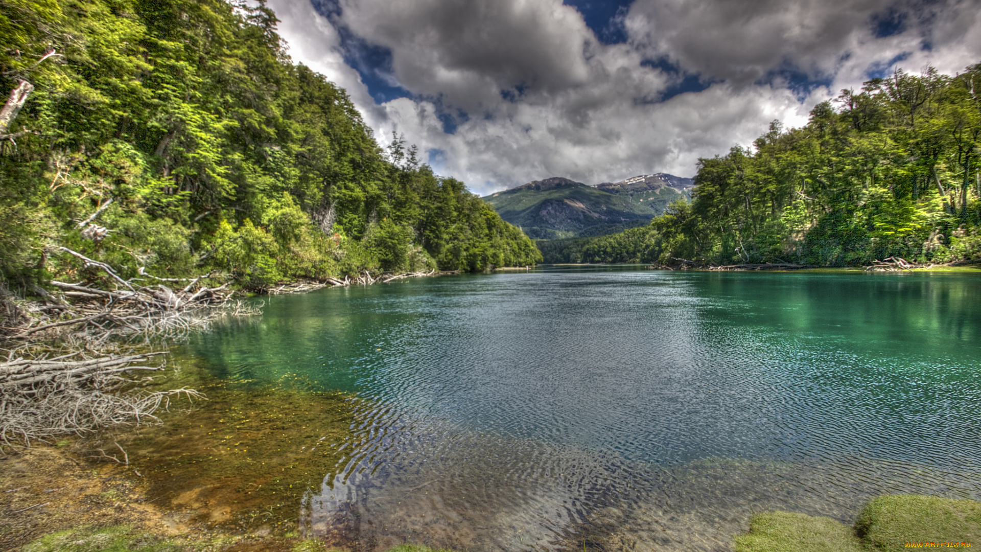 природа, реки, озера, река, лес