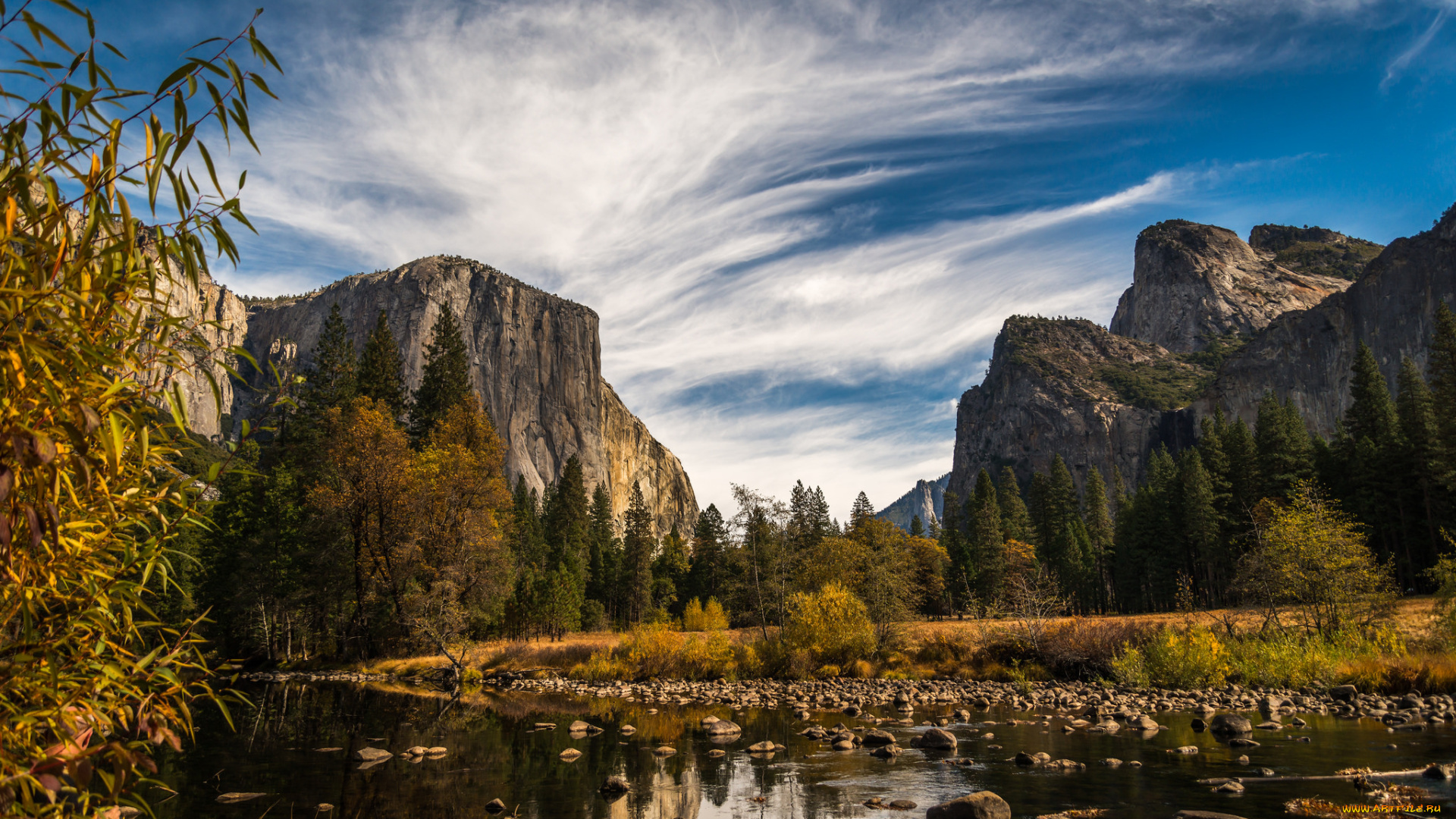 природа, реки, озера, река, лес