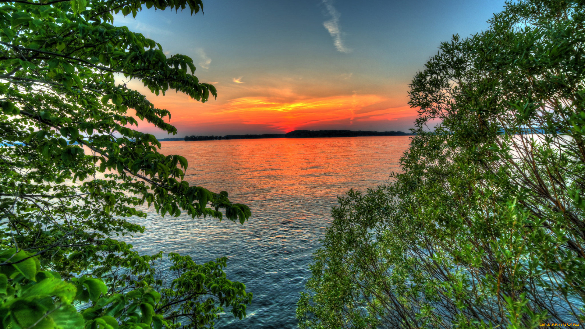 природа, реки, озера, река, лес