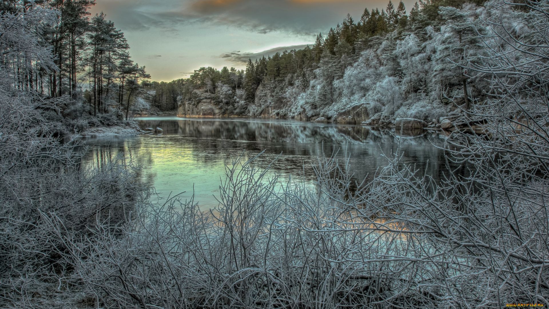 природа, реки, озера, река, лес