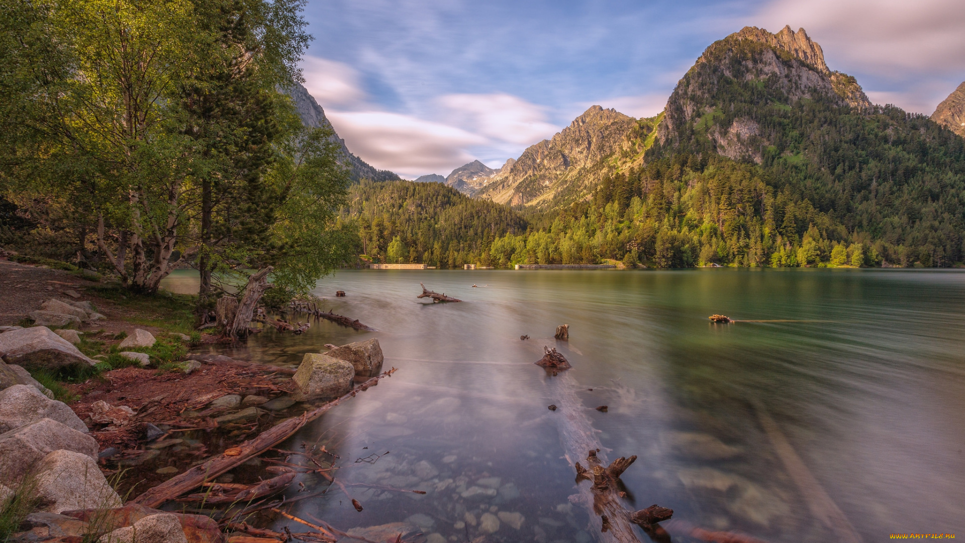 природа, реки, озера, река, лес