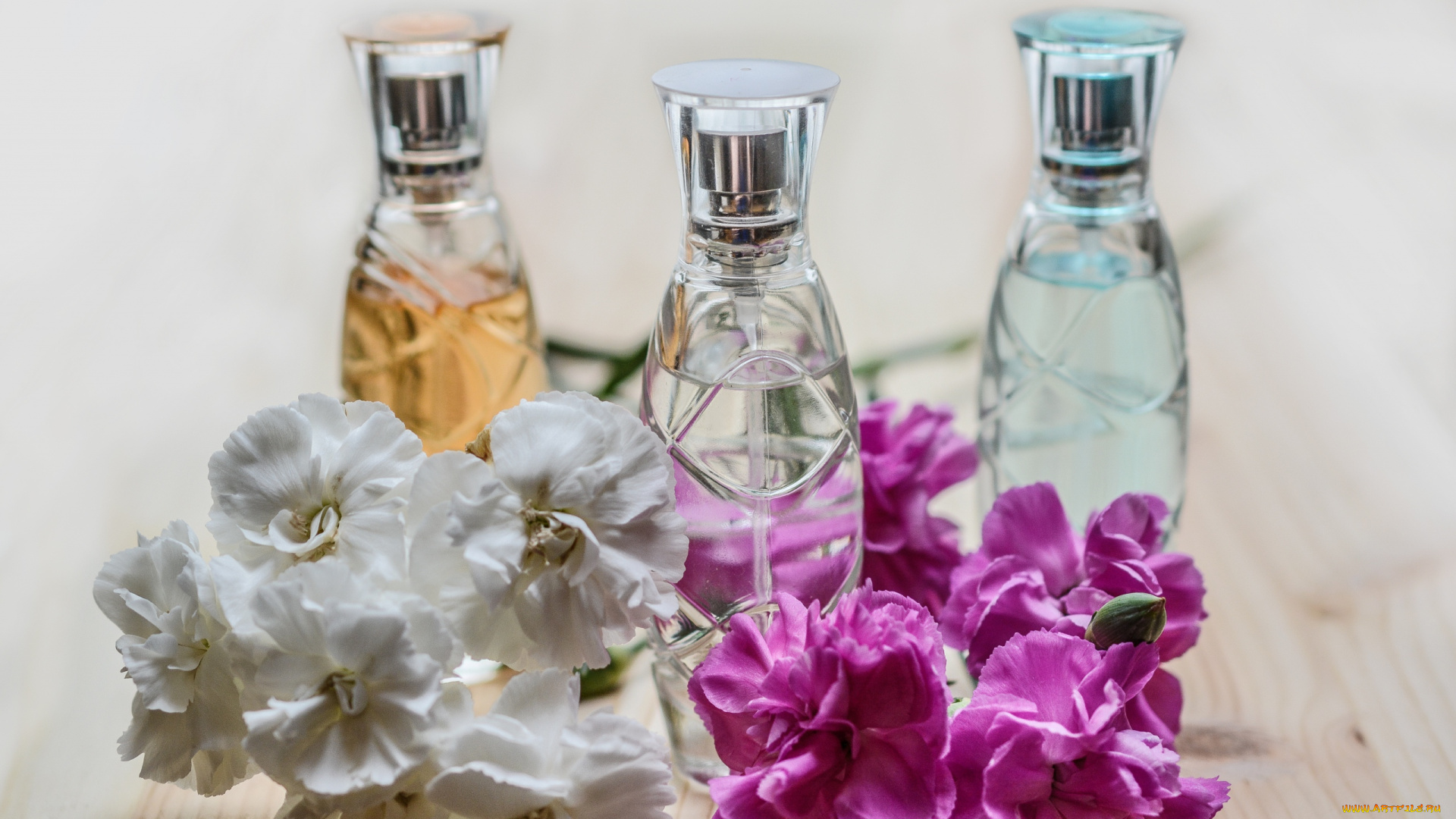 разное, косметические, средства, , духи, гвоздика, духи, флаконы