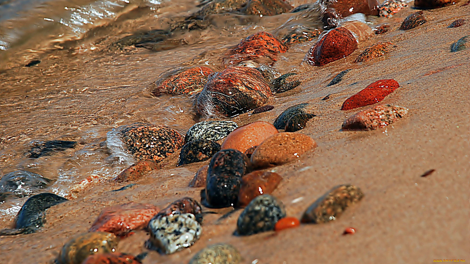 разное, ракушки, , кораллы, , декоративные, и, spa-камни, волна, море, берег