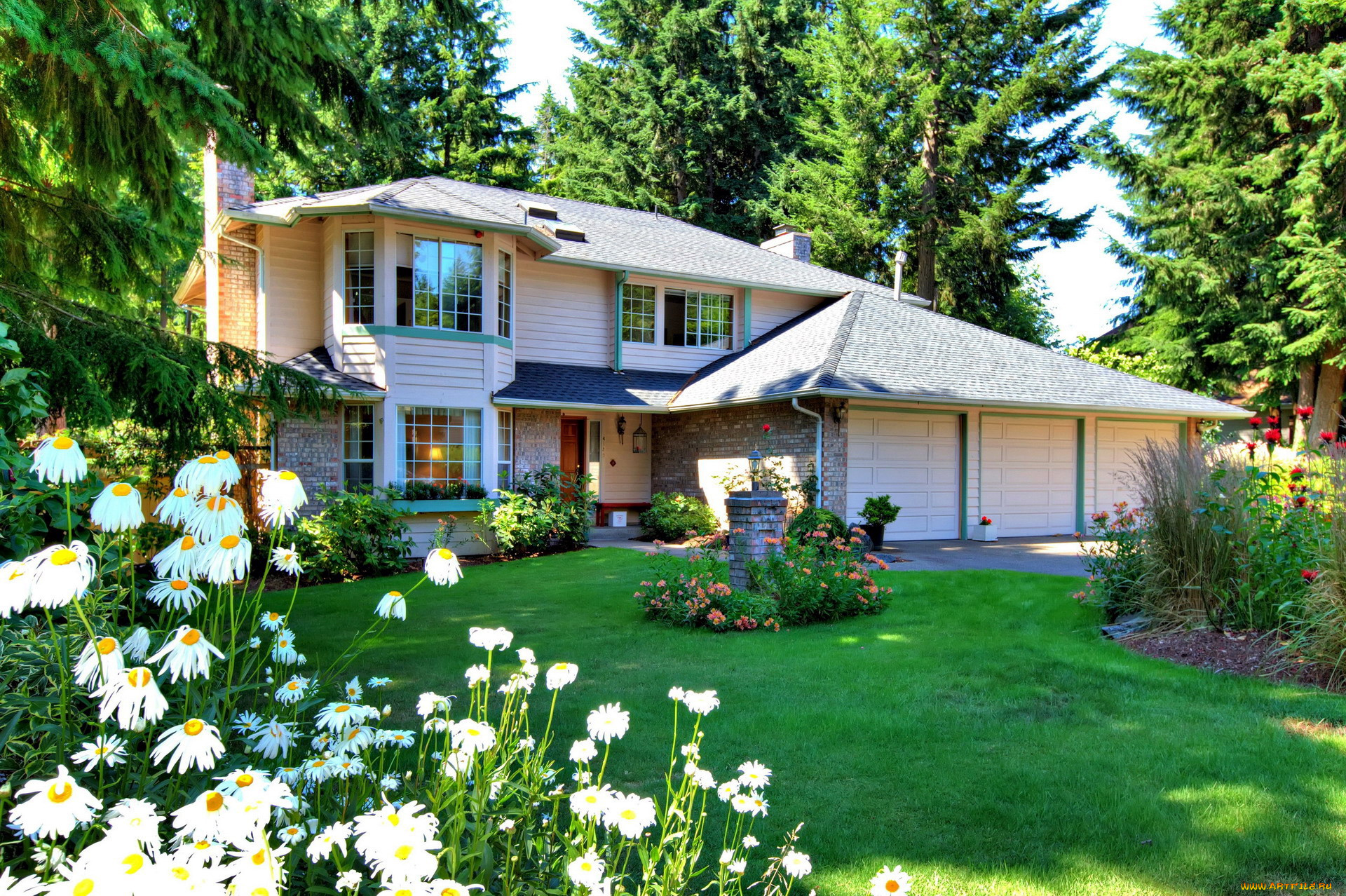 города, -, здания, , дома, клумбы, ромашки, лужайка