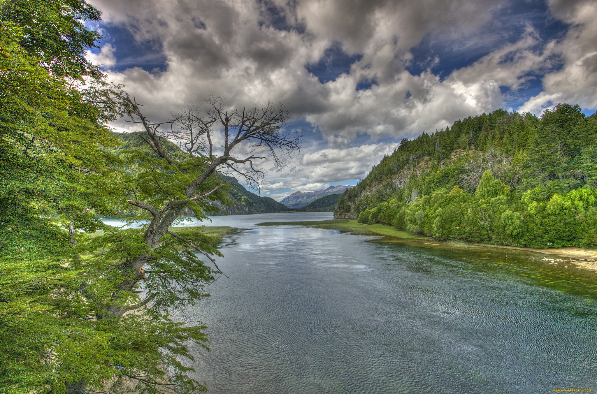 природа, реки, озера, река, лес