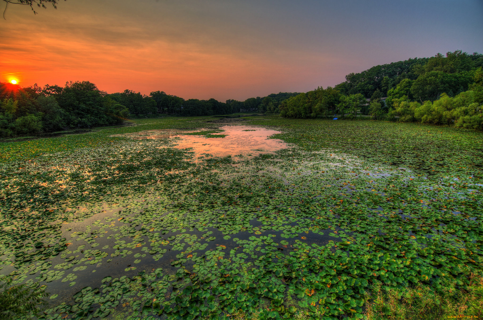 природа, реки, озера, река, лес