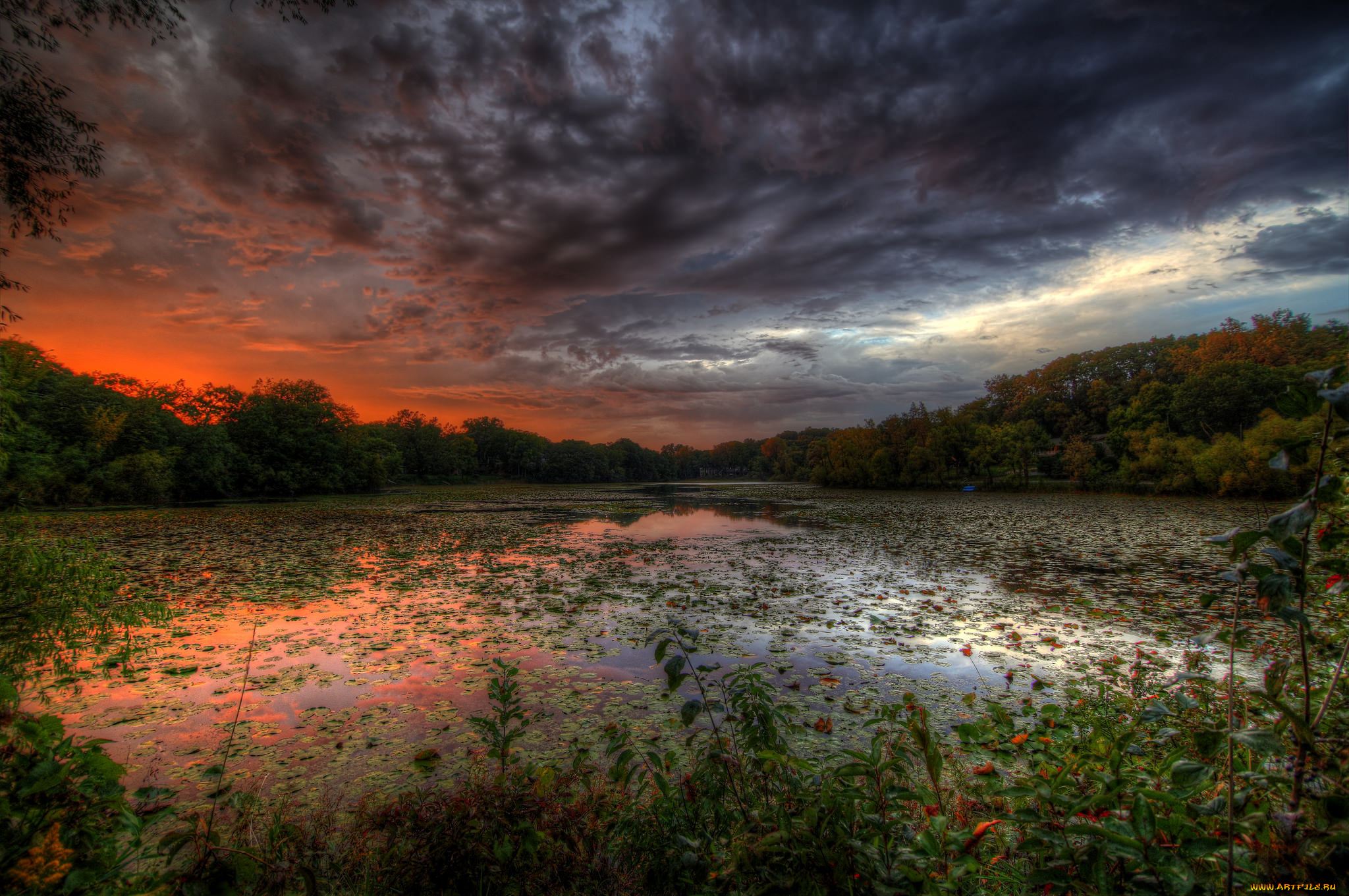 природа, реки, озера, река, лес