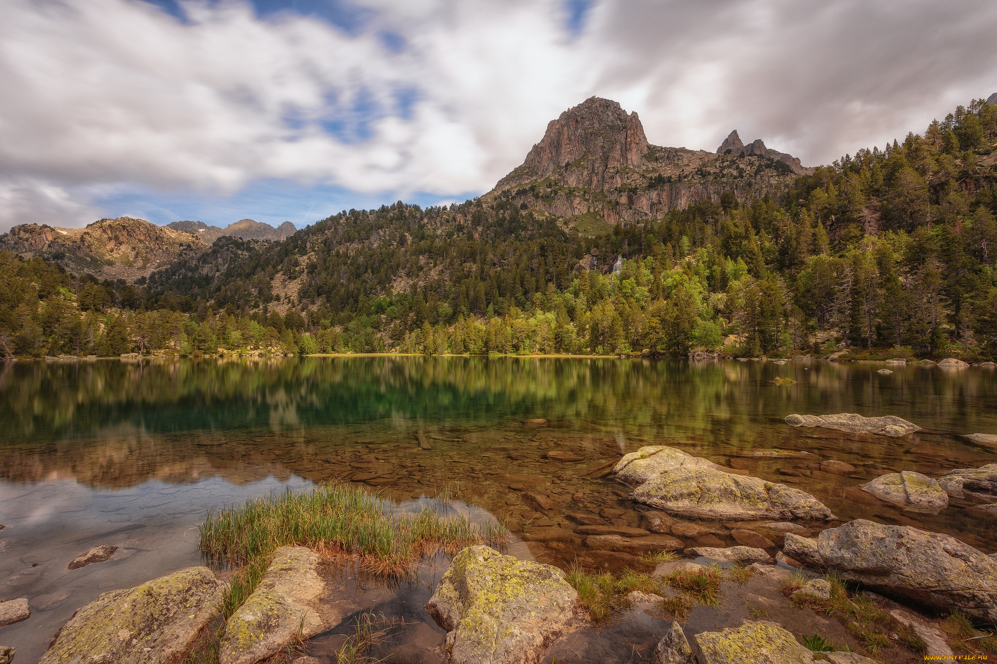 природа, реки, озера, река, лес