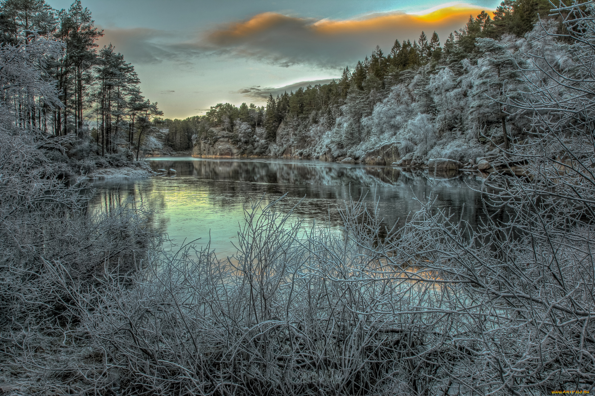 природа, реки, озера, река, лес