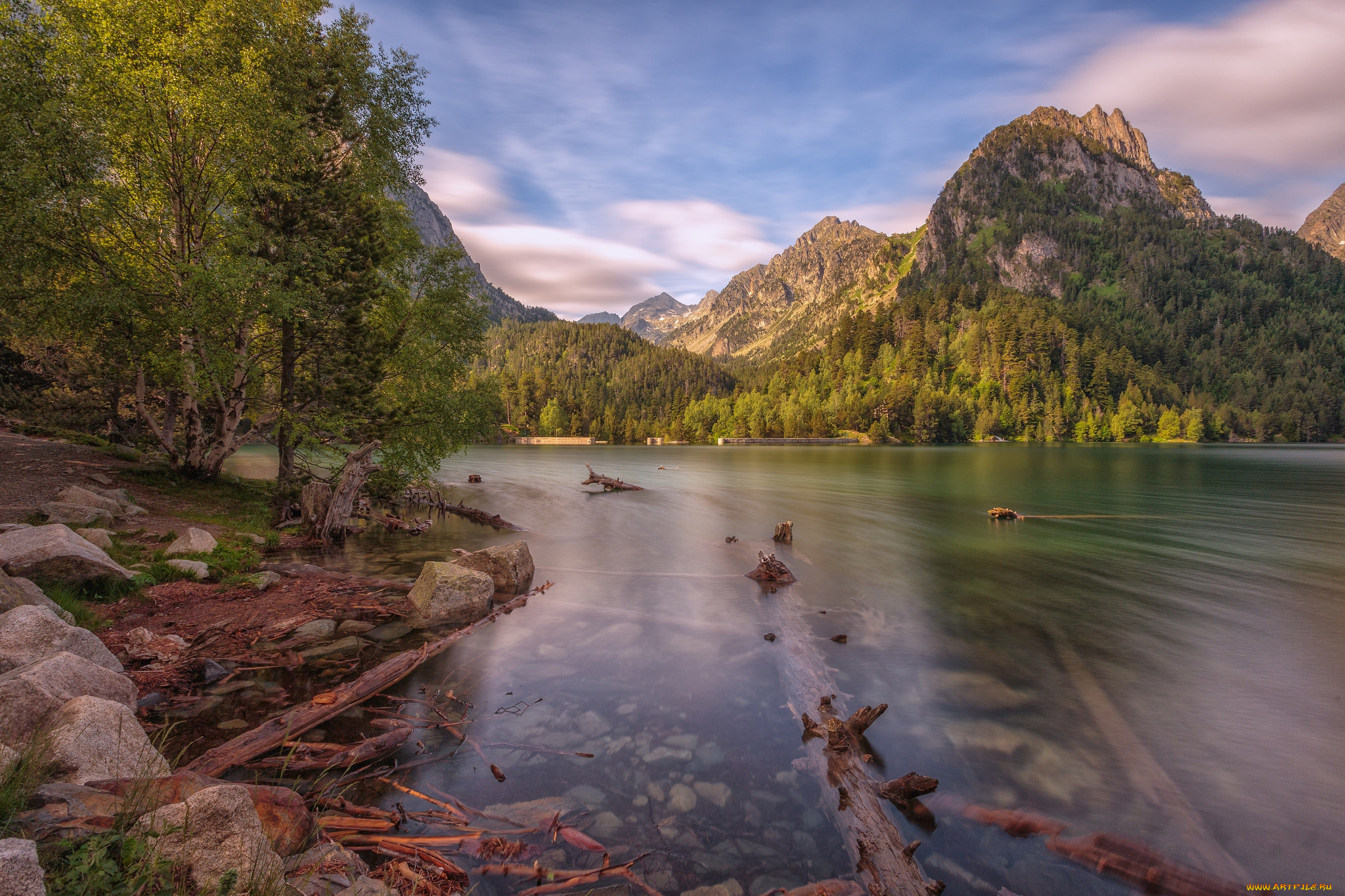 природа, реки, озера, река, лес