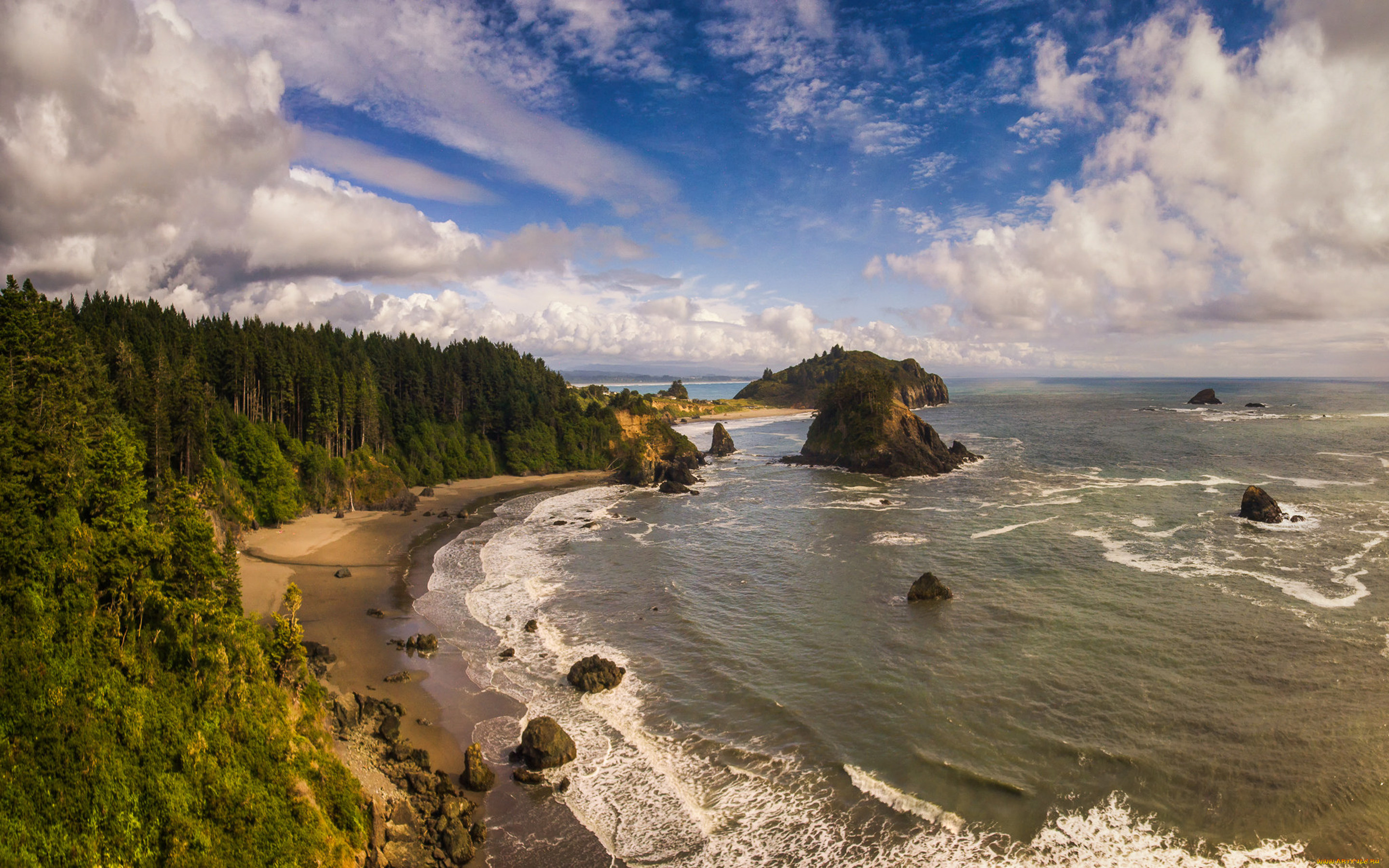 природа, побережье, лес, море