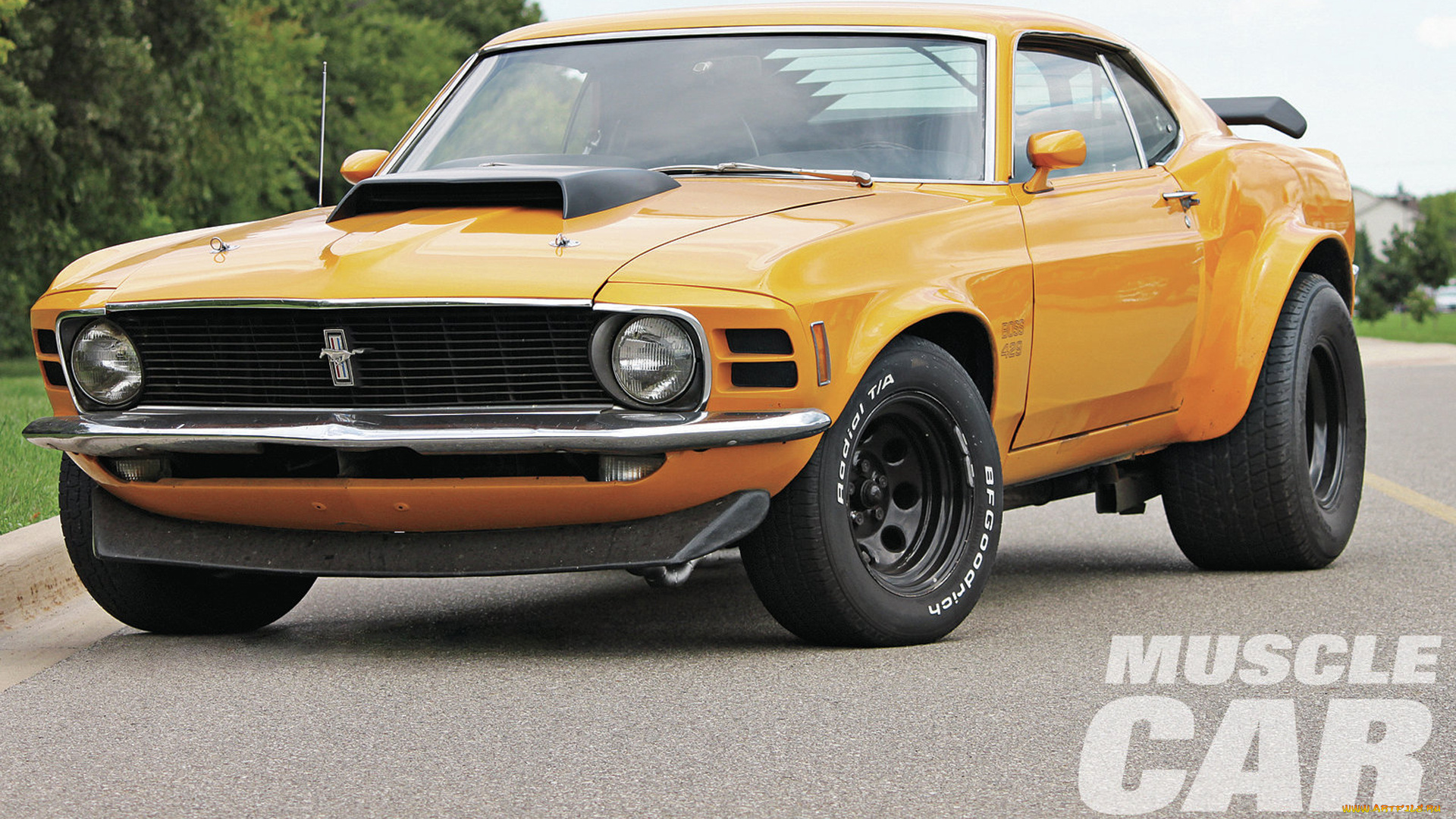 автомобили, mustang