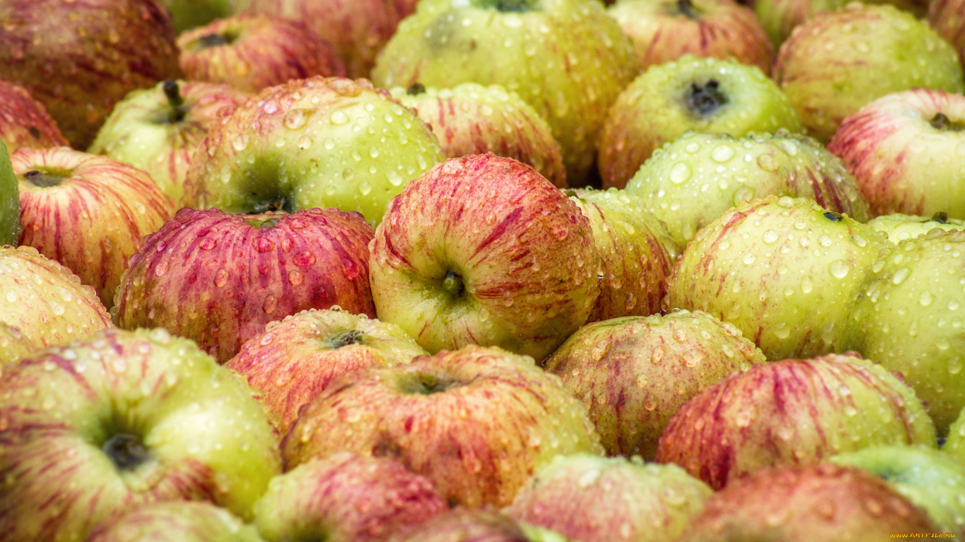 еда, Яблоки, плоды