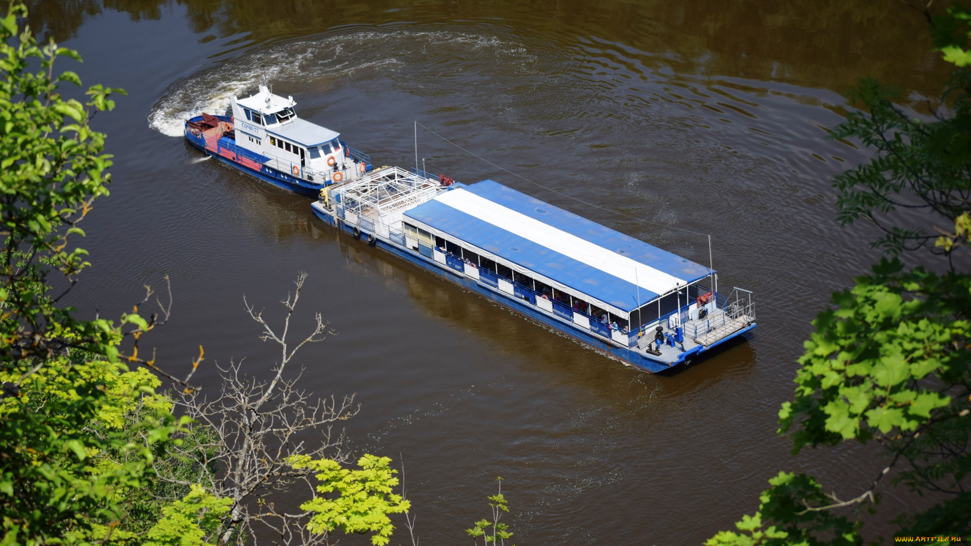 корабли, баржи, лето, природа, катер, баржа, река