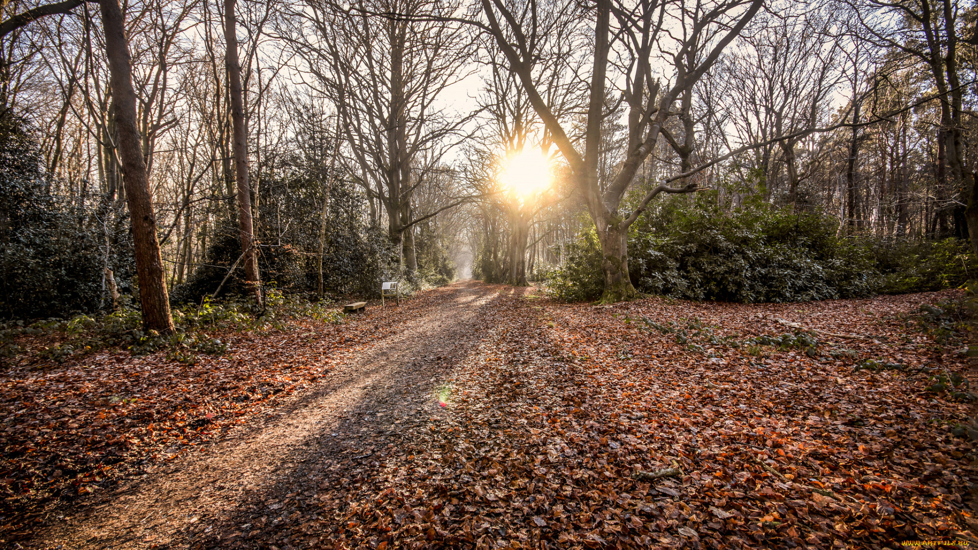 природа, дороги, простор