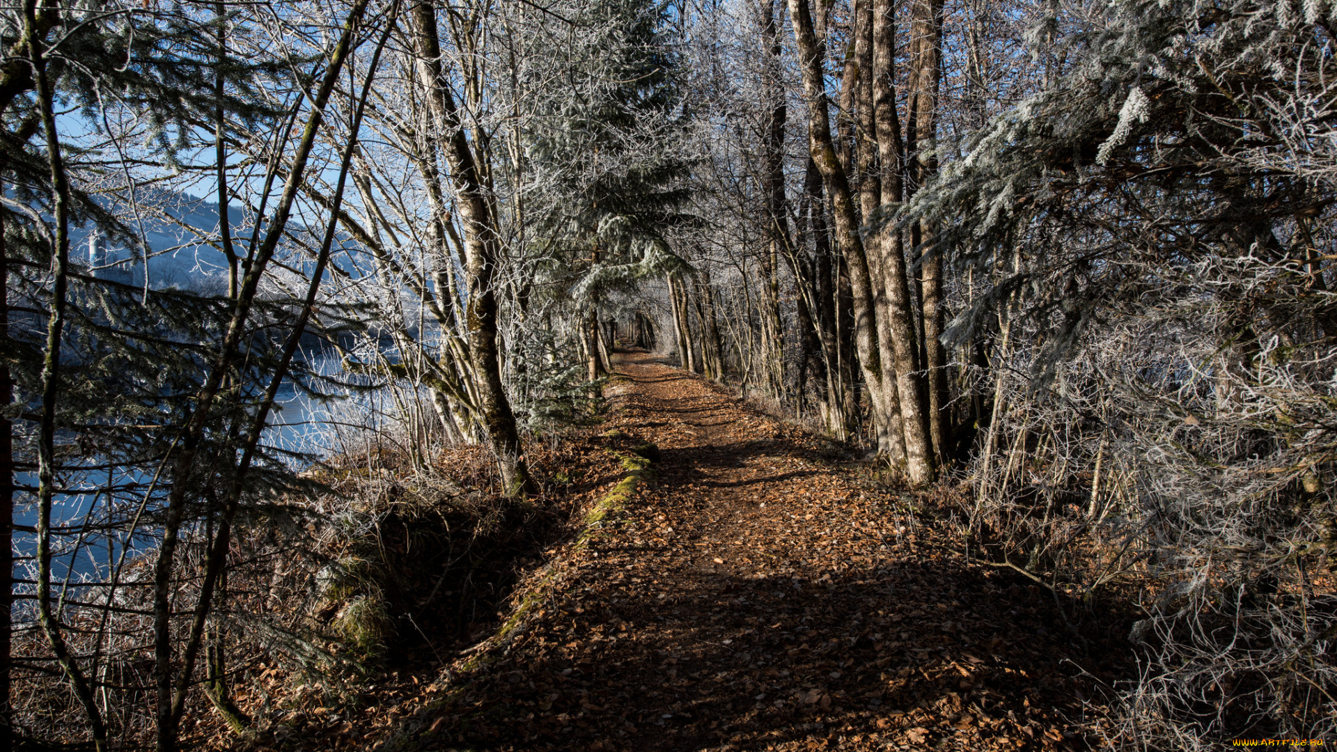 природа, дороги, тракт