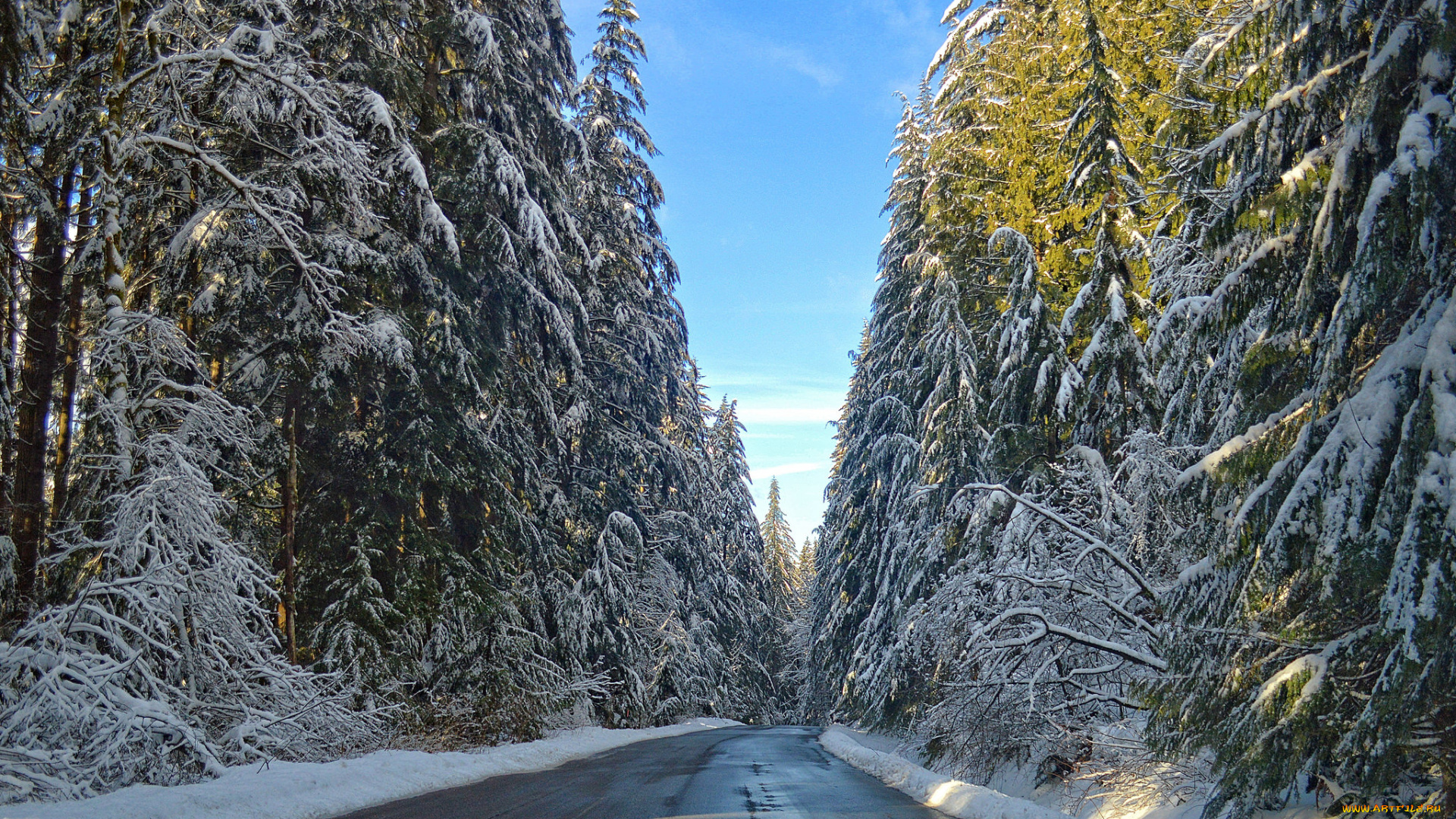 природа, дороги, тракт