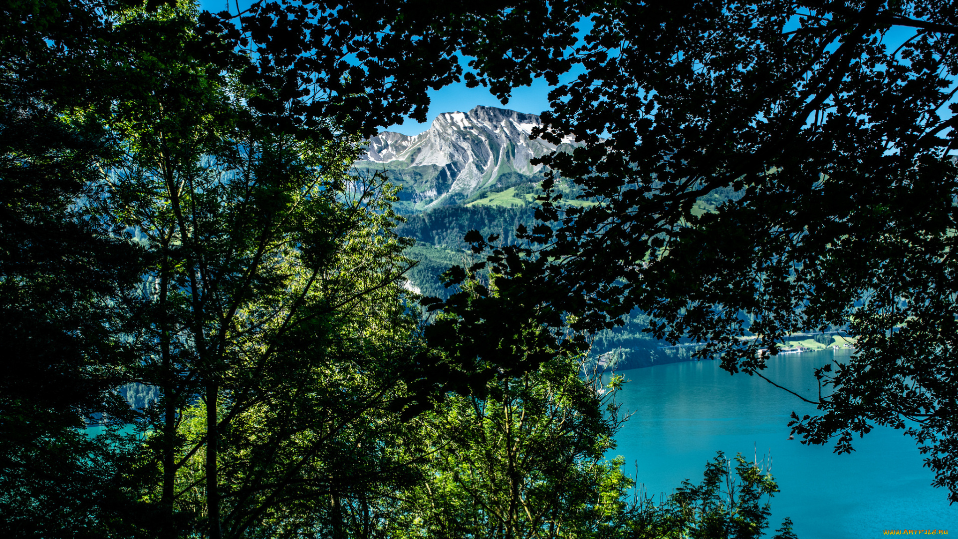 природа, побережье, берег, море