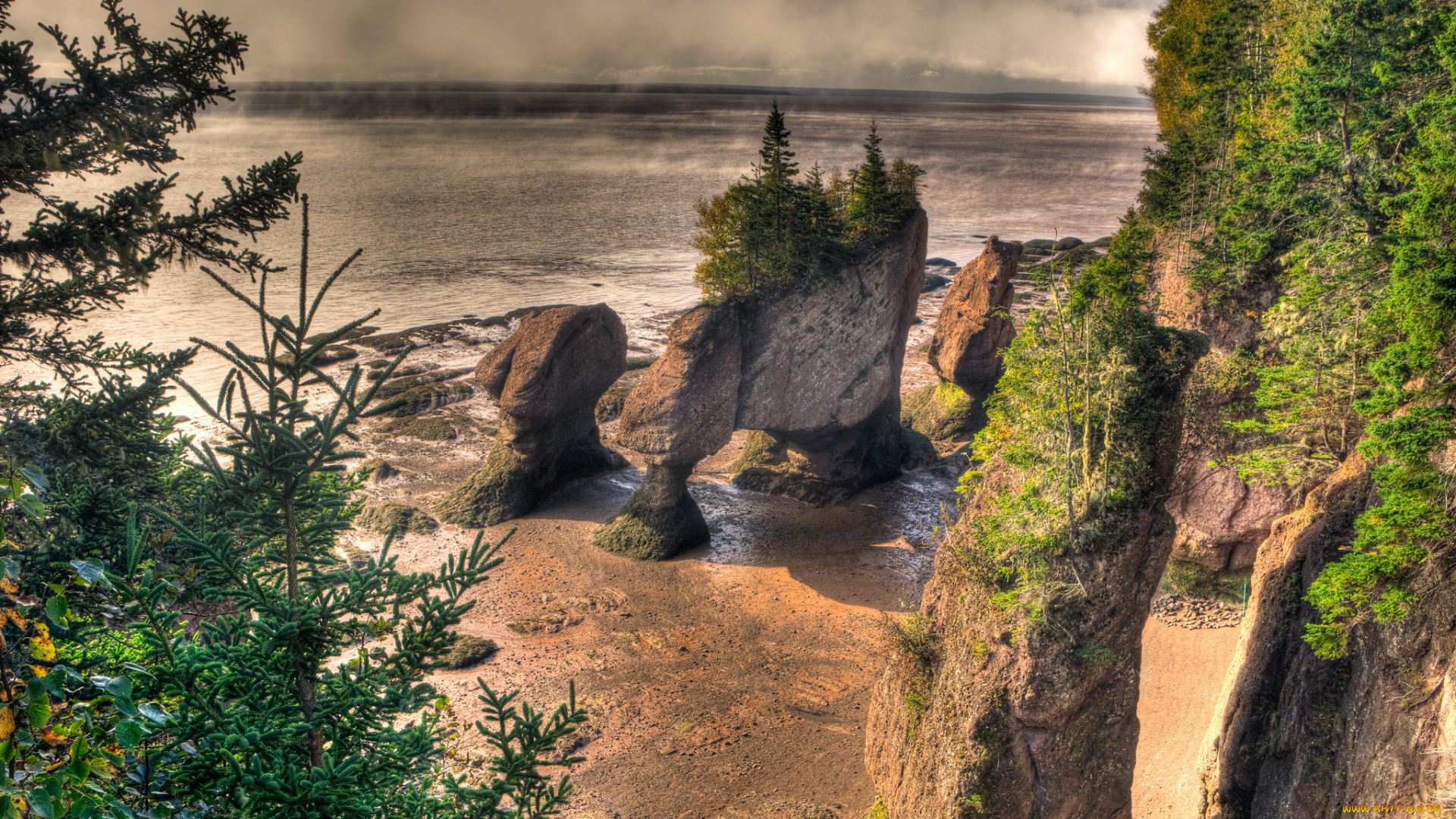 природа, побережье, берег, море