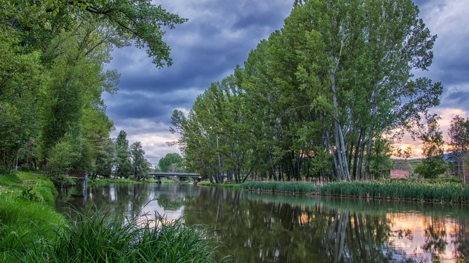 природа, реки, озера, лес, река