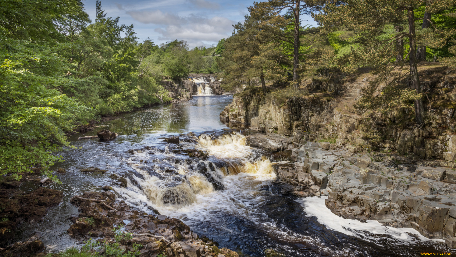 природа, реки, озера, лес, река