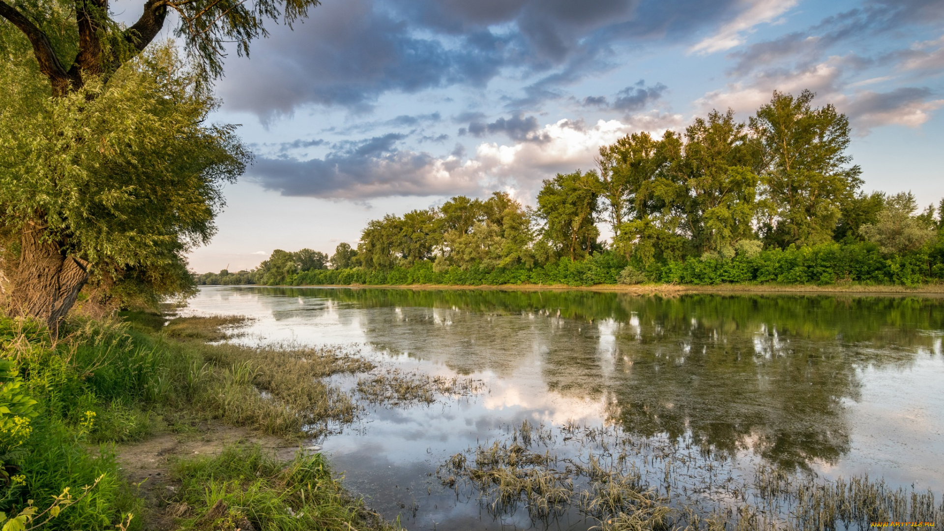 природа, реки, озера, лес, река