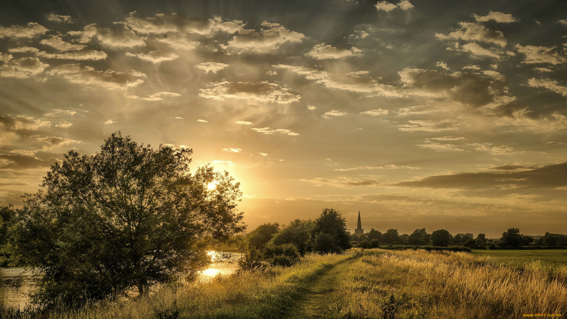 природа, реки, озера, река, лес