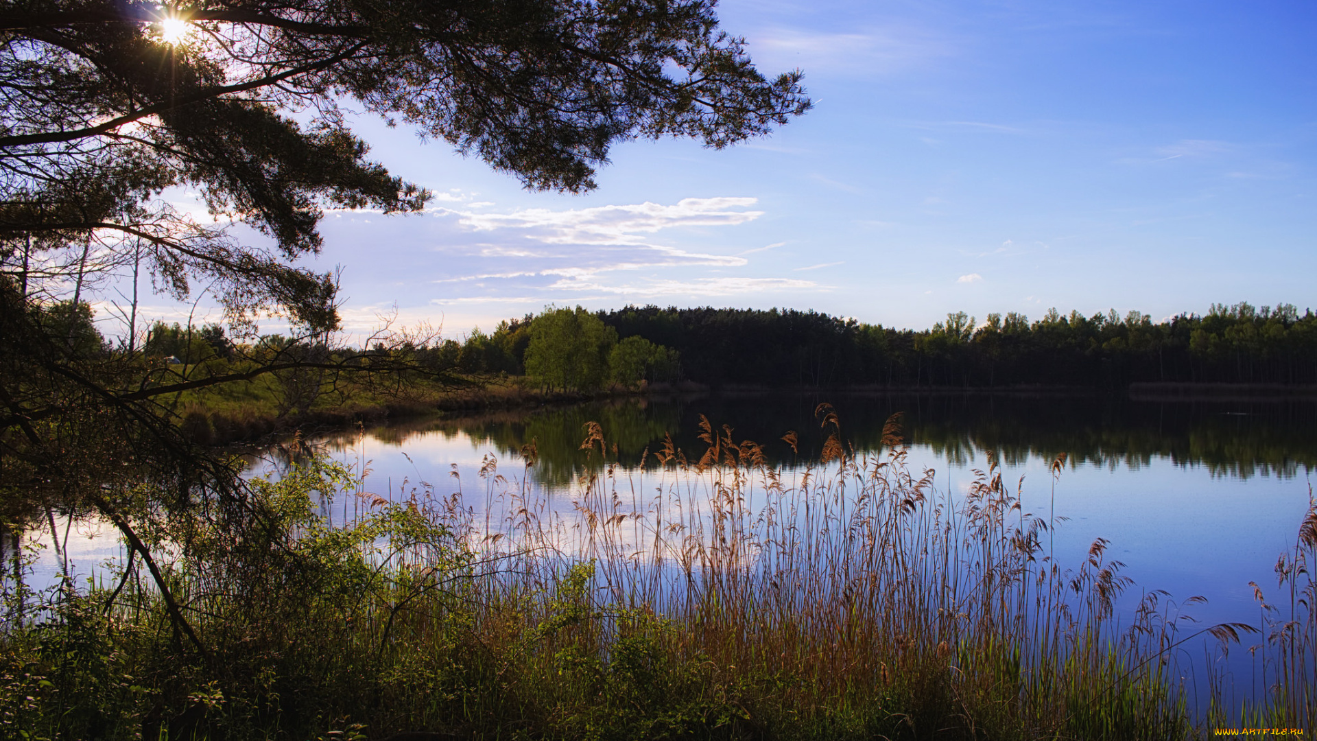 природа, реки, озера, река, лес