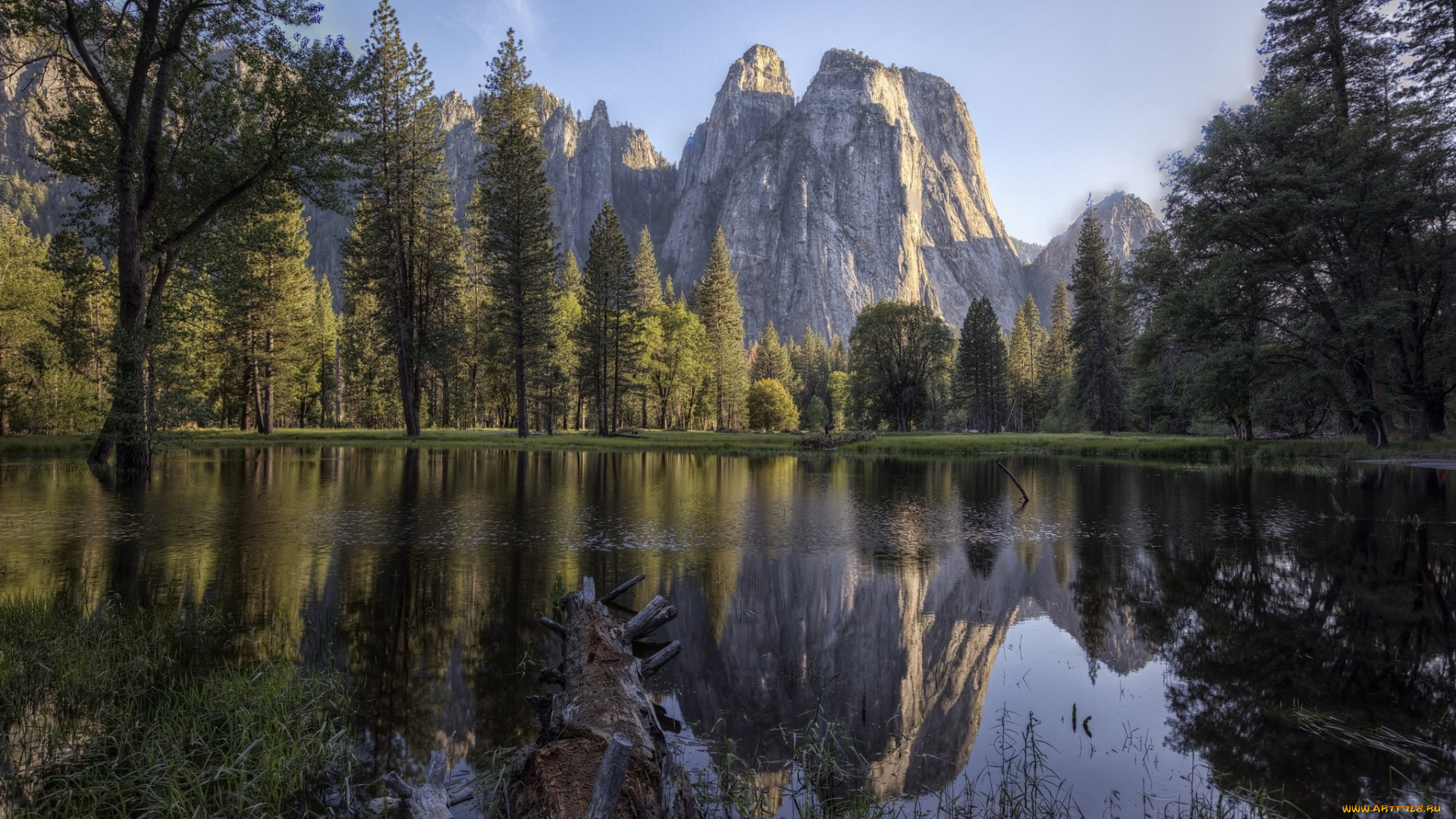 природа, реки, озера, река, лес