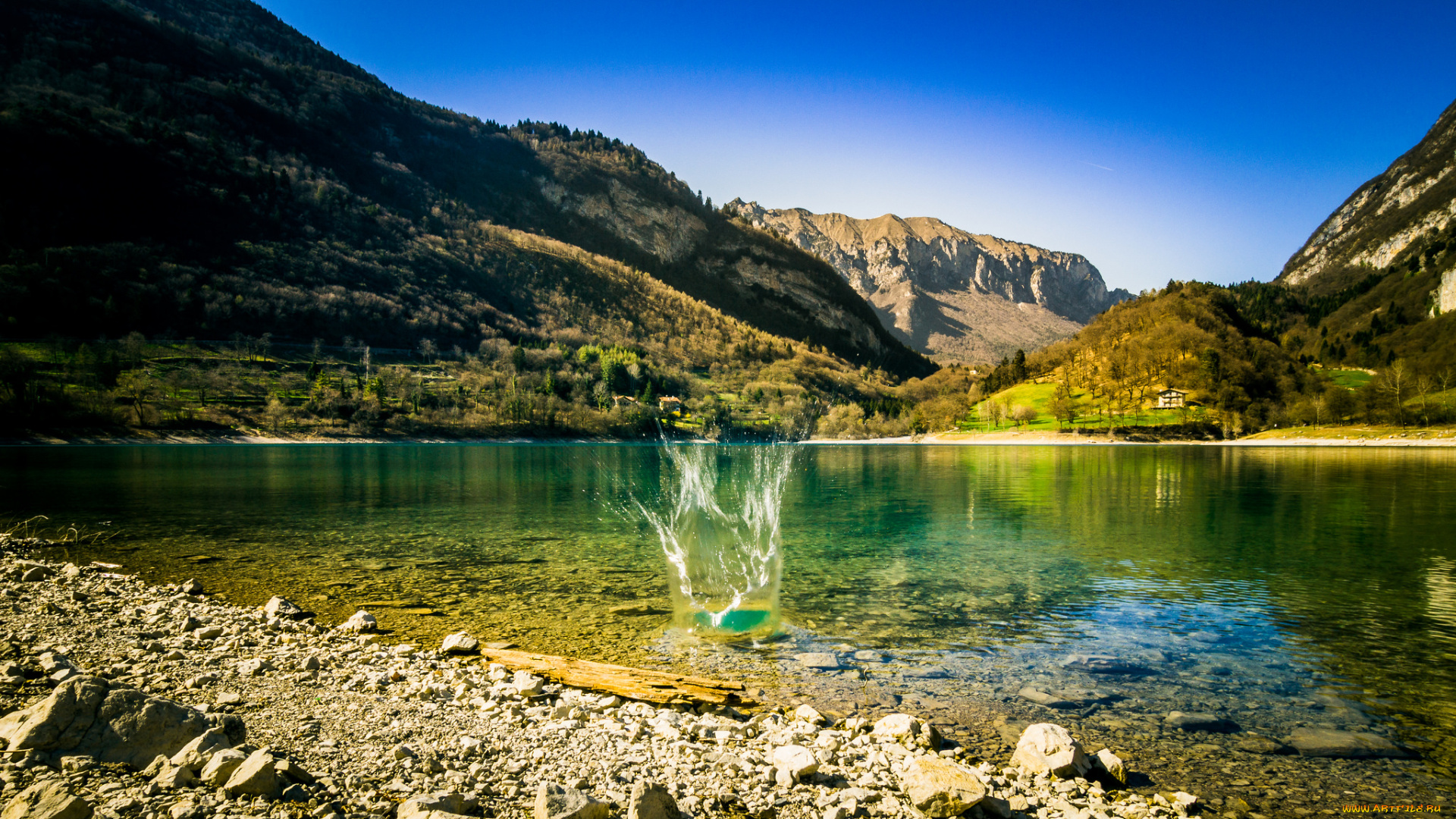 природа, реки, озера, река, лес