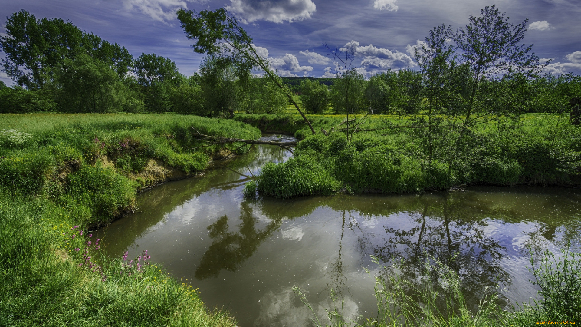 природа, реки, озера, река, лес