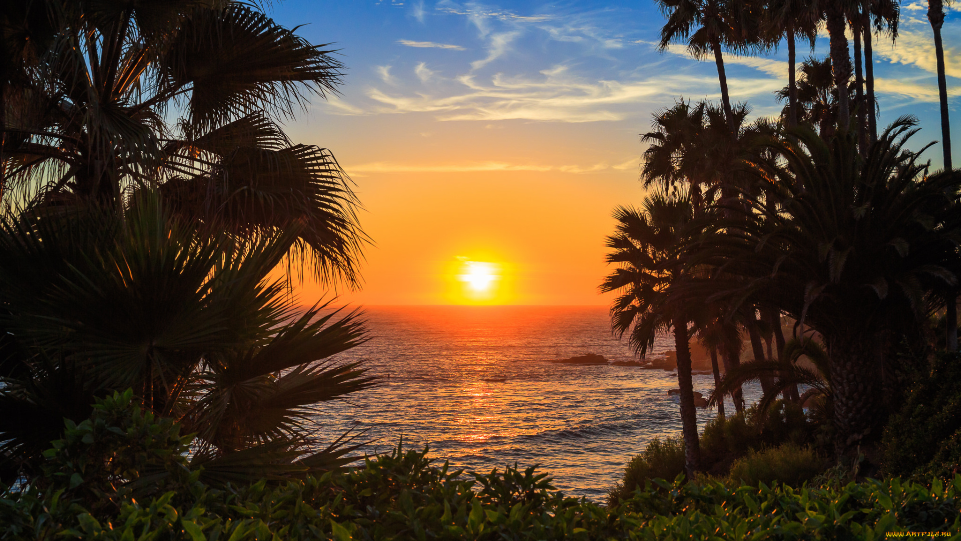 природа, тропики, курорт