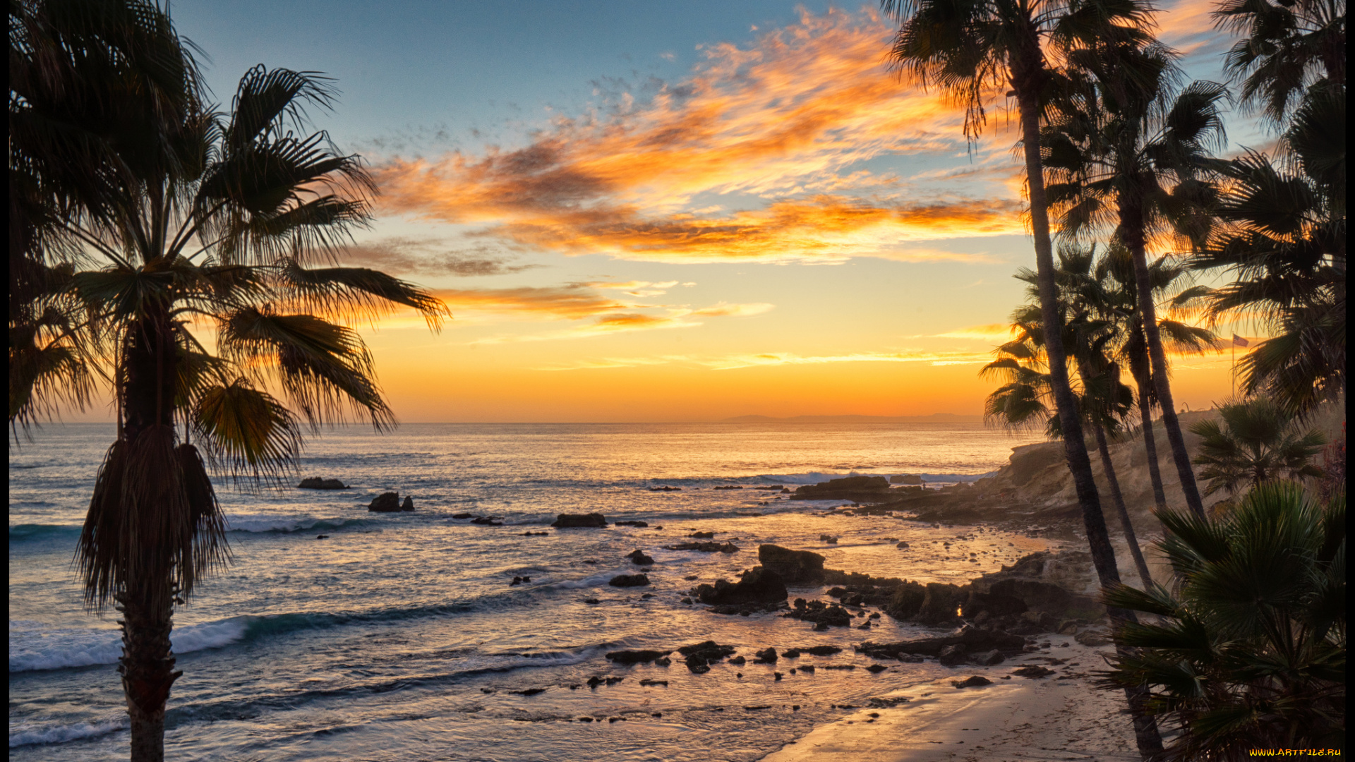 природа, тропики, курорт