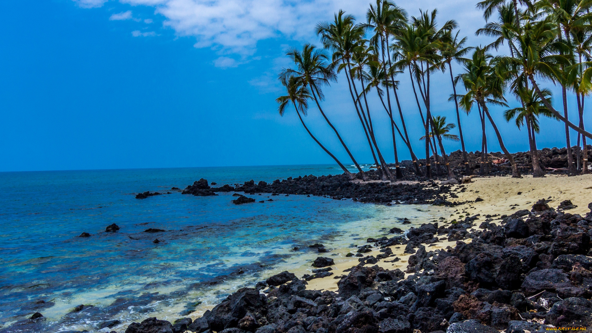 природа, тропики, курорт