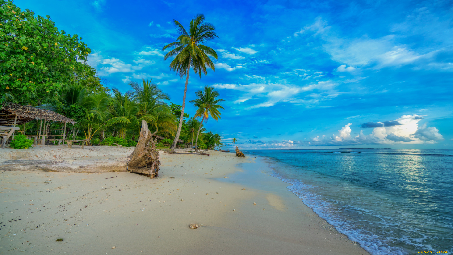 природа, тропики, курорт