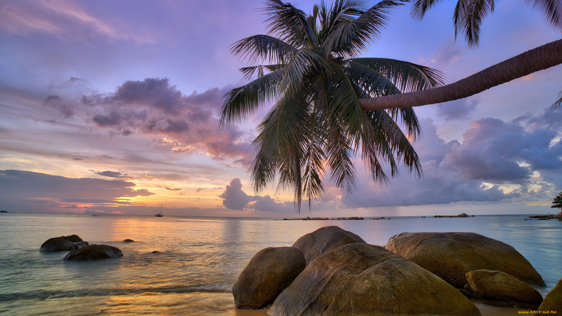 природа, тропики, курорт