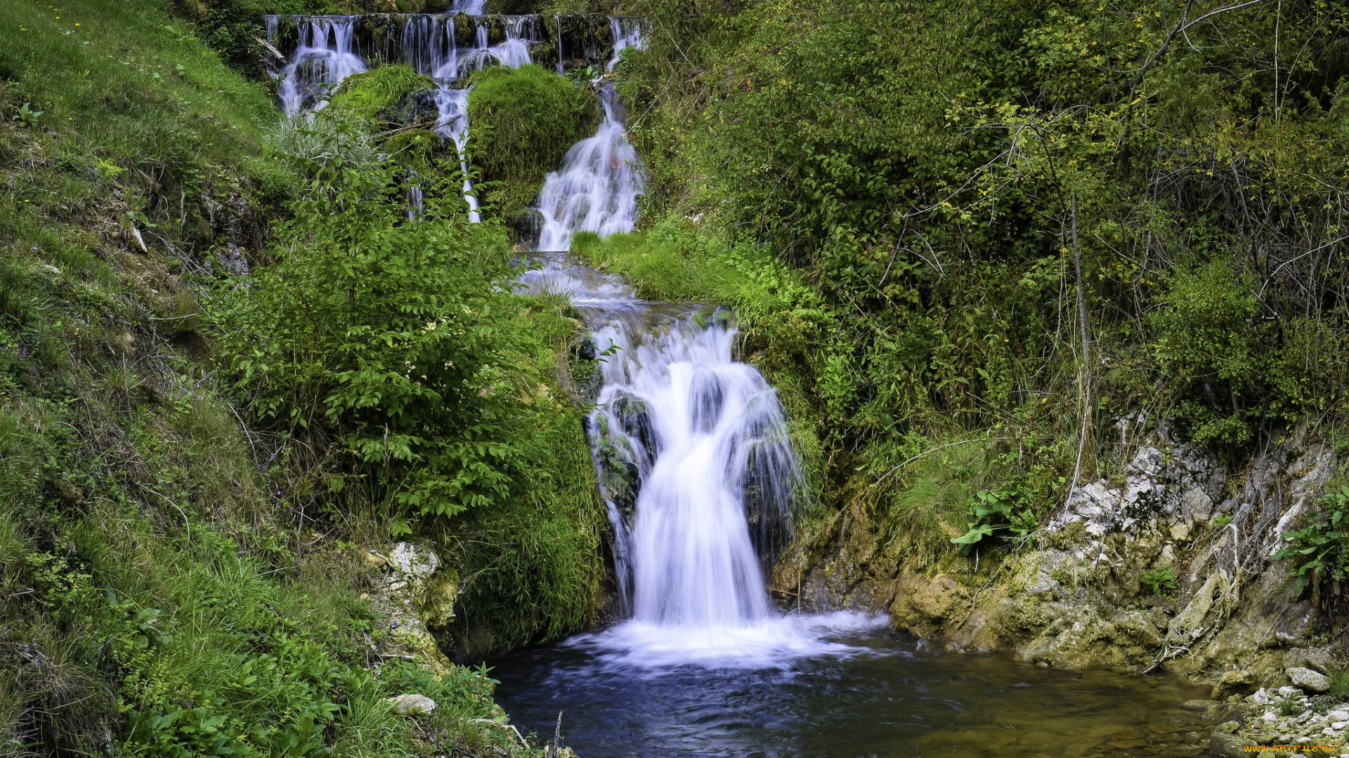 природа, водопады, лес, река, водопад