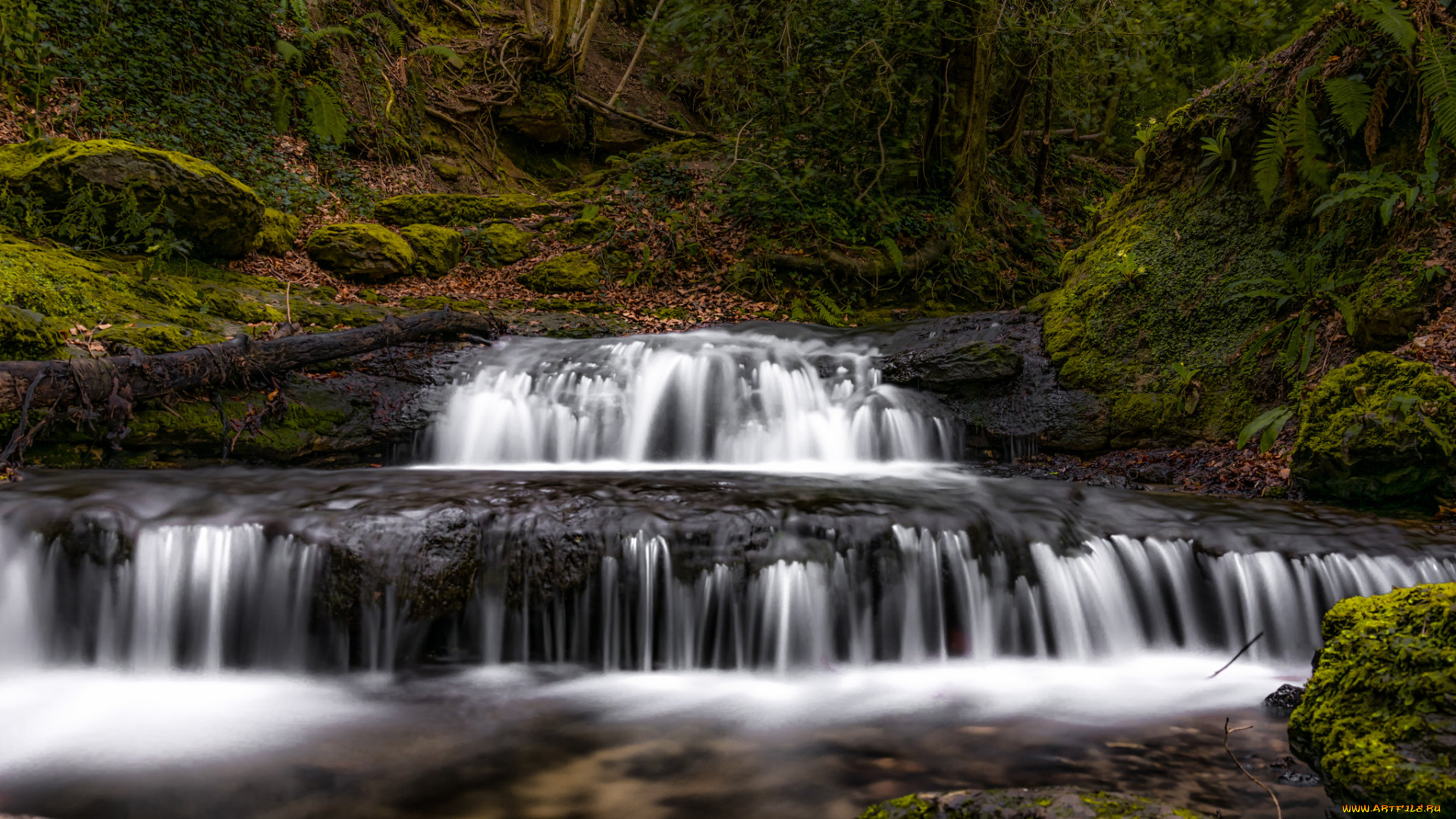 природа, водопады, водопад, река, лес