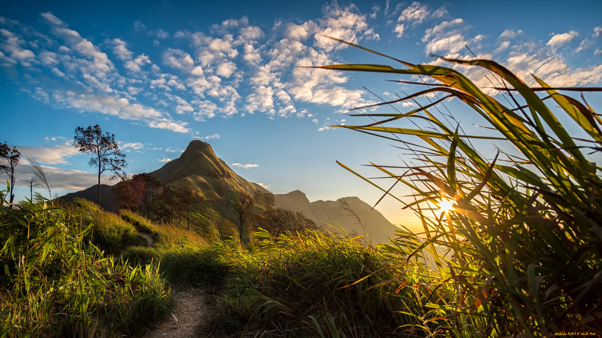 природа, восходы, закаты, рассвет