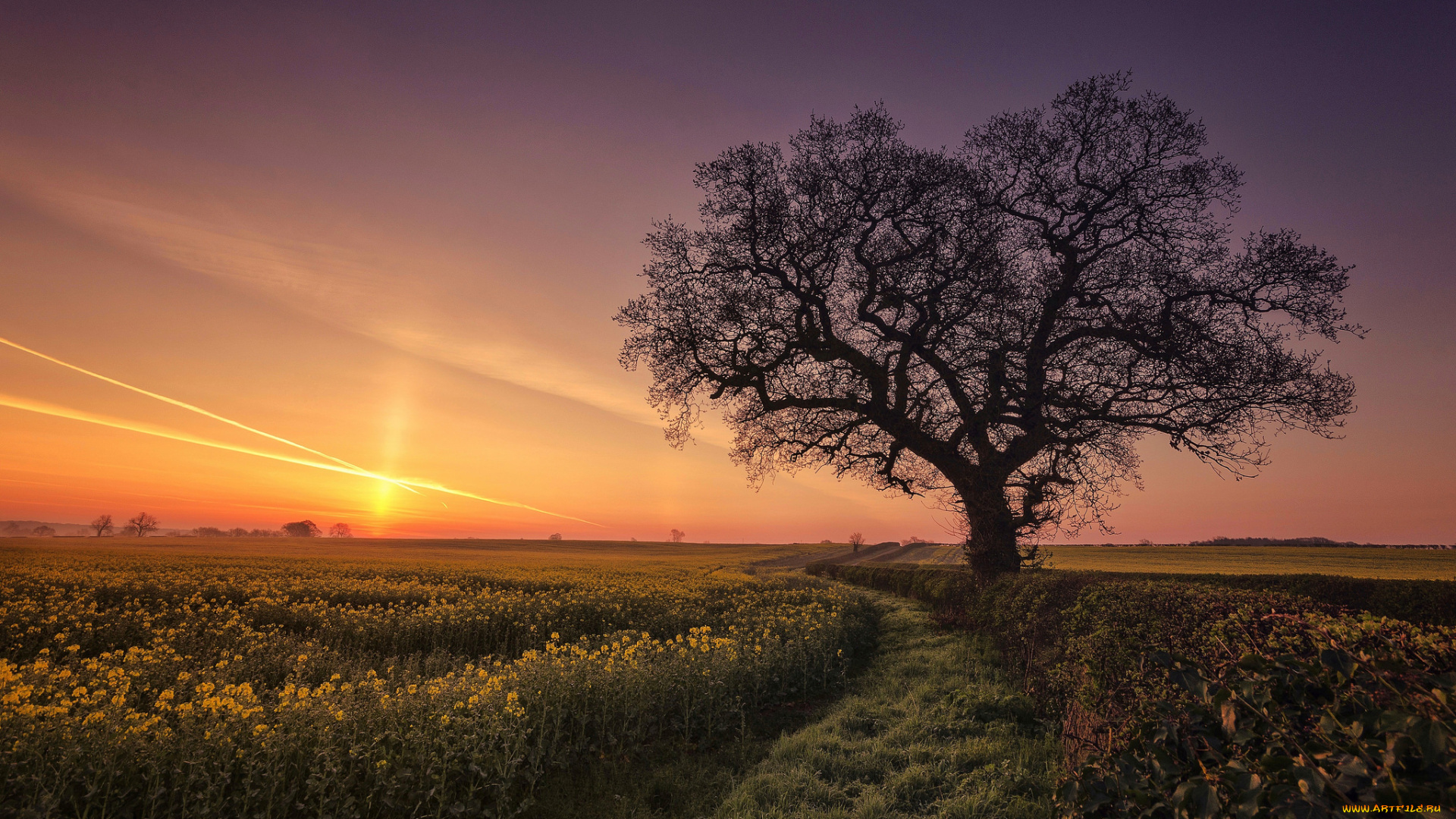 природа, восходы, закаты, рассвет