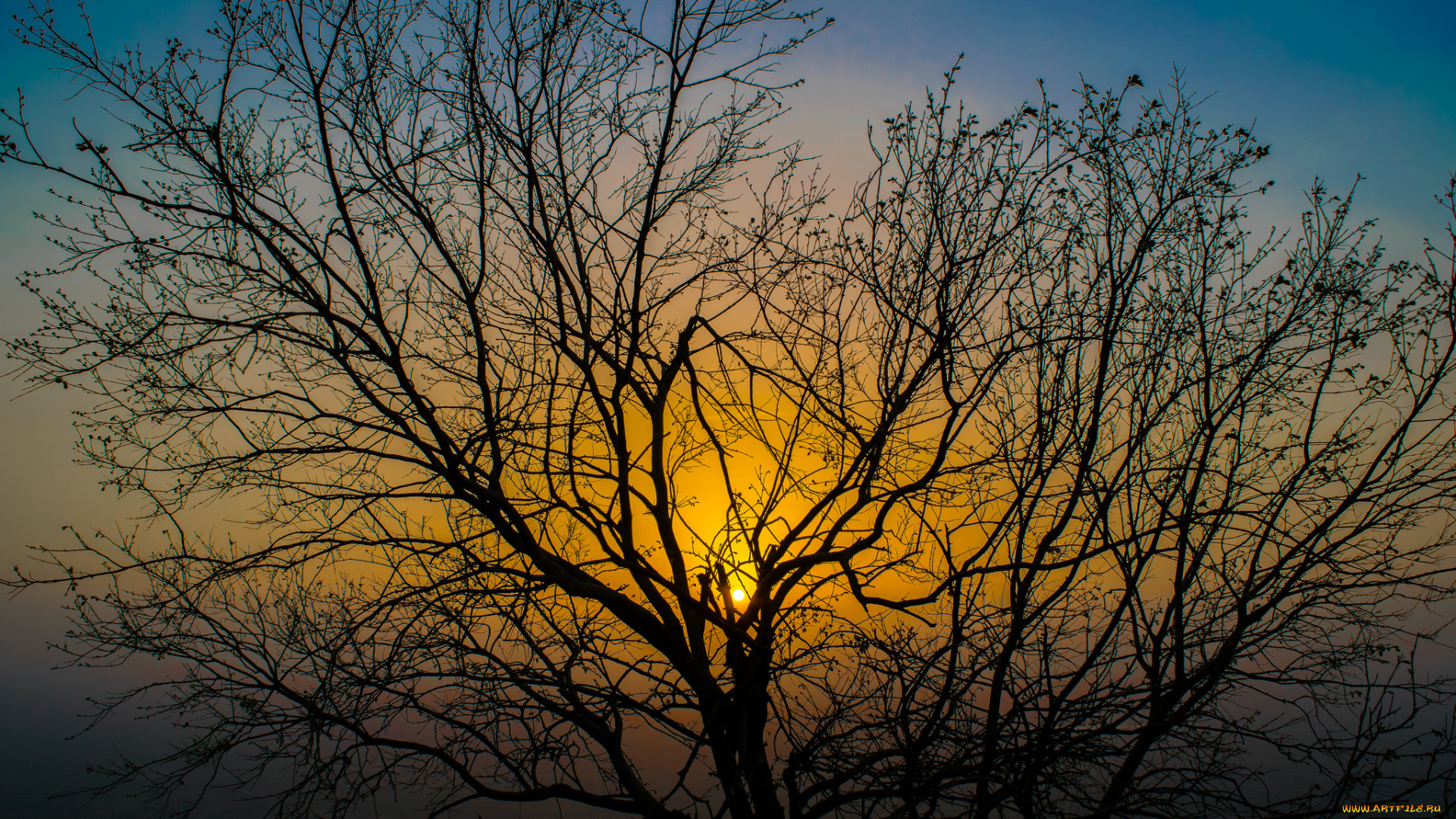 природа, восходы, закаты, рассвет