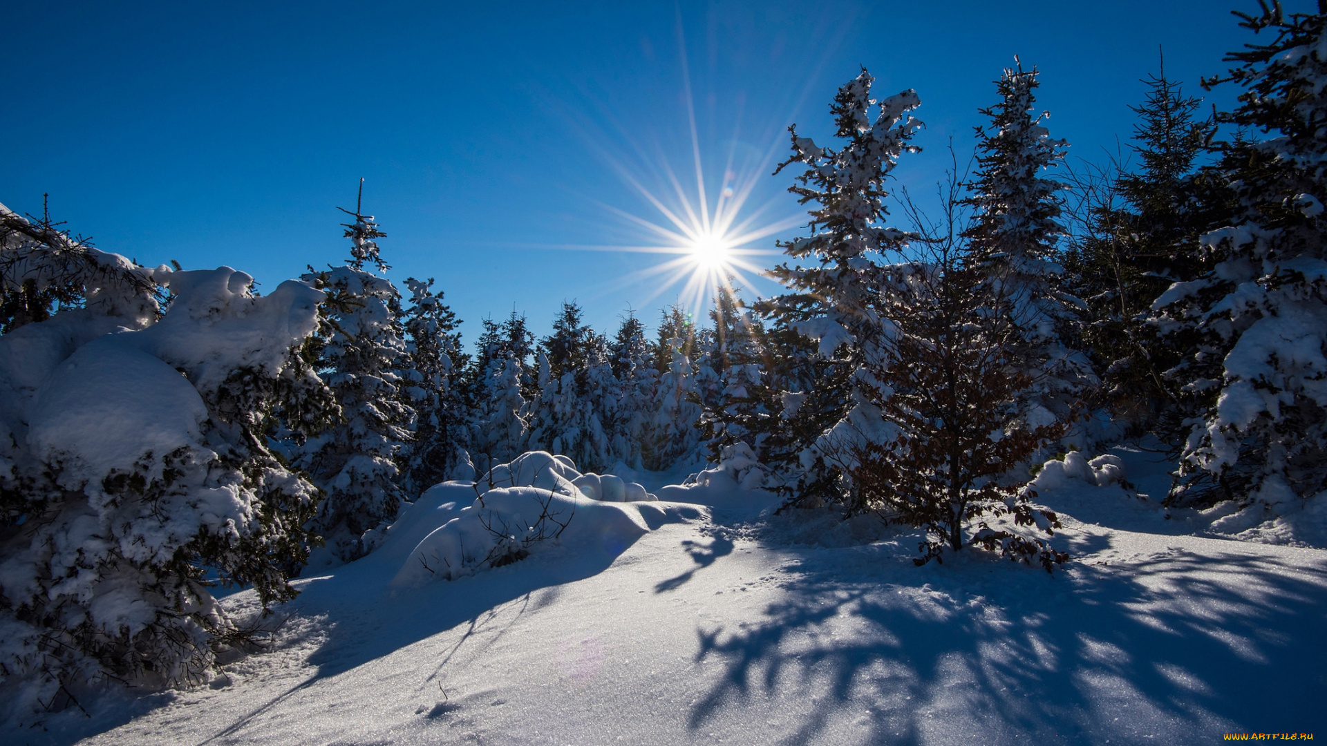 природа, зима, снег