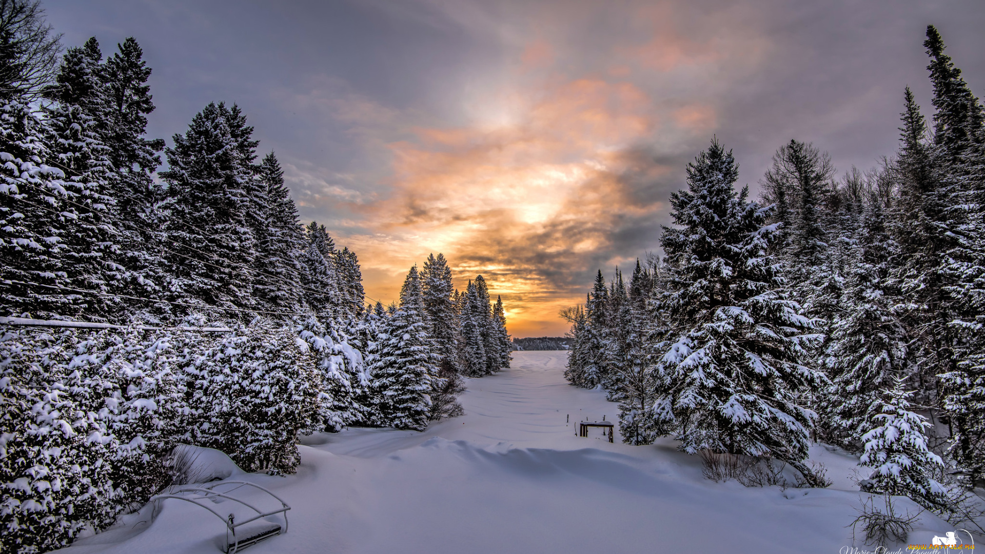 природа, зима, снег