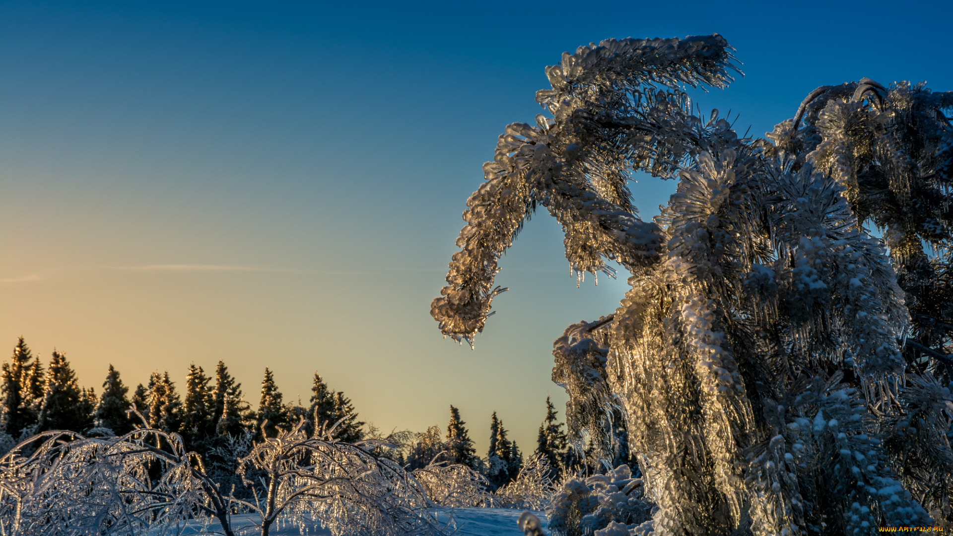 природа, зима, снег