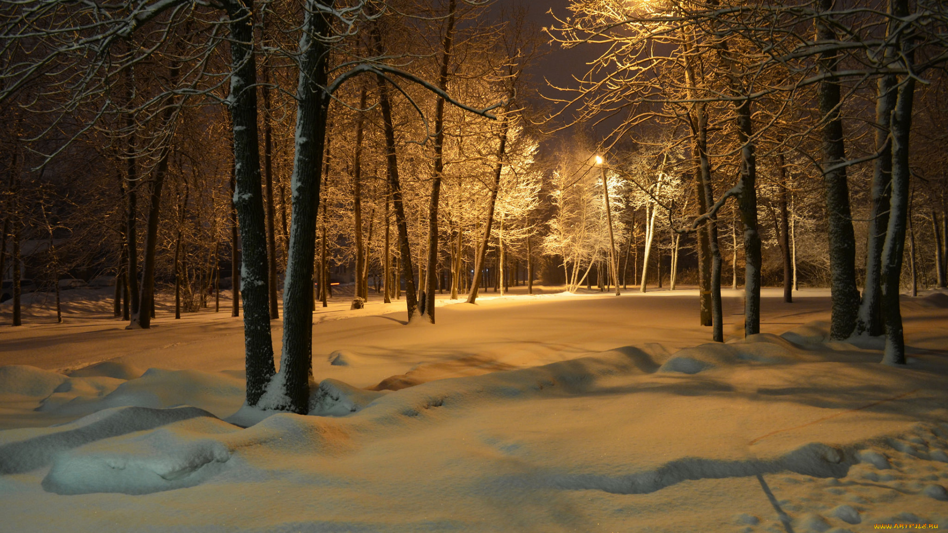 природа, зима, снег